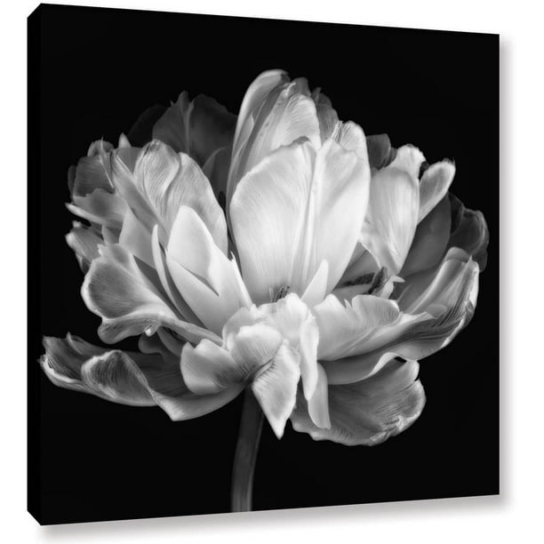 16 by 24-Inch ArtWall Cora Niele Beach Find IV Gallery Wrapped Canvas Artwork 16 by 24-Inch ArtWall Cora Niele Beach Find IV Gallery Wrapped Canvas Artwork